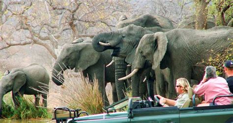 Getting To Balule Game Reserve Balule Travel Guide