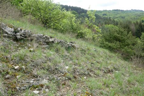 Bilan Sur Le Suivi De La Pratique Du Casse Cailloux Dans Le Jura Jura Nature Environnement