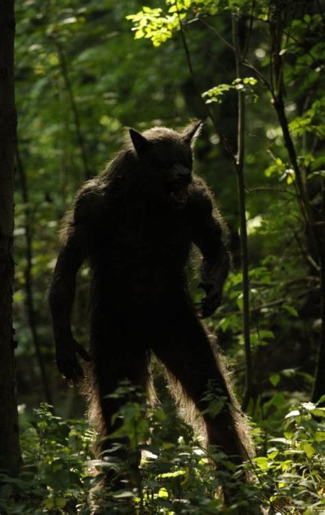 Michigan Dogman Sightings: The Gable Film - HubPages