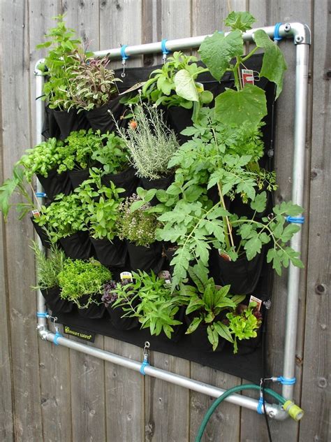 Cómo Hacer Tu Jardín Vertical En Casa 10 Ideas Fáciles