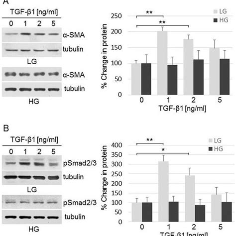 High Glucose Modulation Of Tgf Induced Increase Of Sma Expression