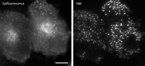 Intro To Single Molecule Microscopy