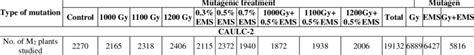 Spectrum And Frequency Of Chlorophyll Mutation In M Generation Of