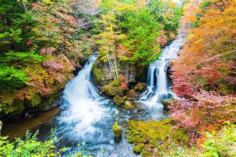 Nikko Autumn Foliage Hike And Hot Springs