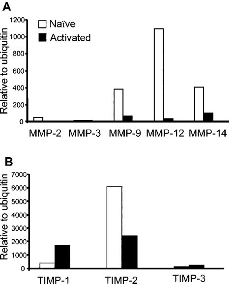 Mmp And Timp Expression In Na Vena Ve Versus Activated Cd T Cells