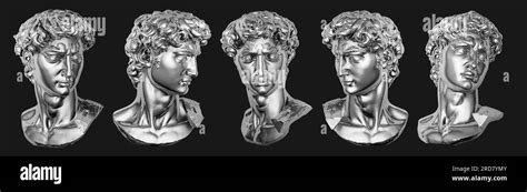 David Glossy Metallic Bust On Isolated Background Black And White