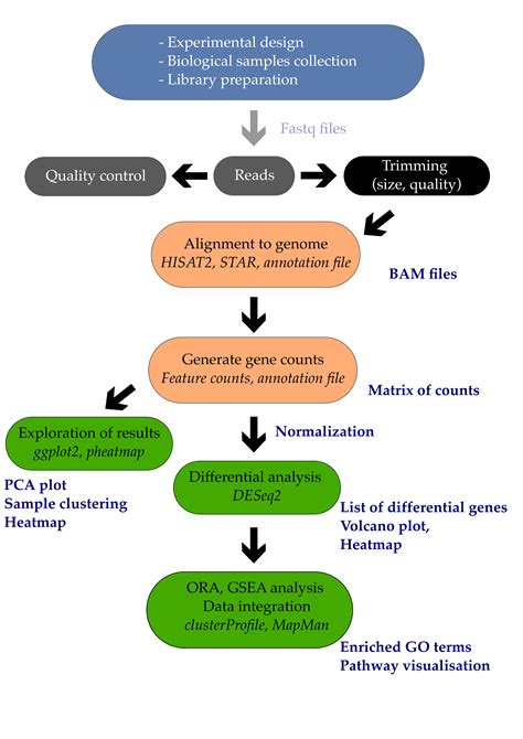 07 Functional Enrichment Analysis Introduction To Rna Seq