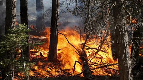 Protezione Civile Piemonte on Twitter Dal 6febbraio sarà in vigore