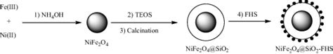 Preparation Of Nife2o4sio2 Fhs Download Scientific Diagram