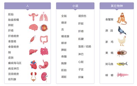 战略合作∣格物致和成为华大时空组学首批生态合作伙伴 华大时空