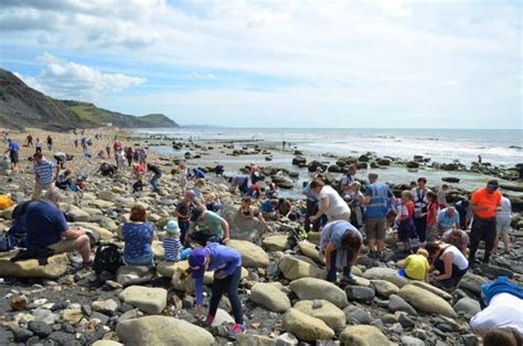 Charmouth Fossils and Fossil Hunting on the Jurassic Coast