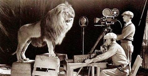 A Brief History of the MGM Lion | Silver Screenings