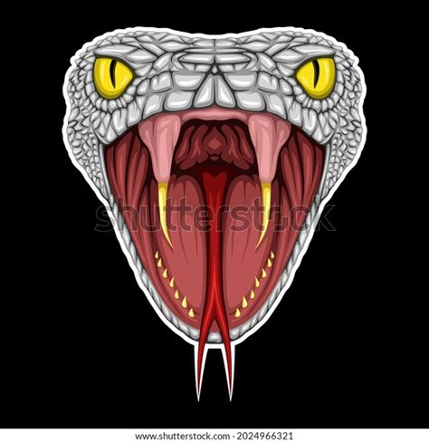 Snake Mouth Anatomy