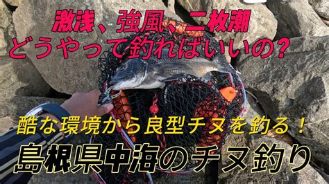 激浅、強風、二枚潮の酷な環境でチヌを釣る！島根県中海のチヌ釣り！ 山陰釣り新報