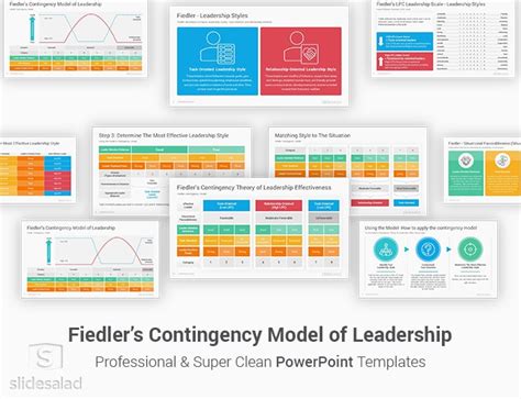 Contingency Model