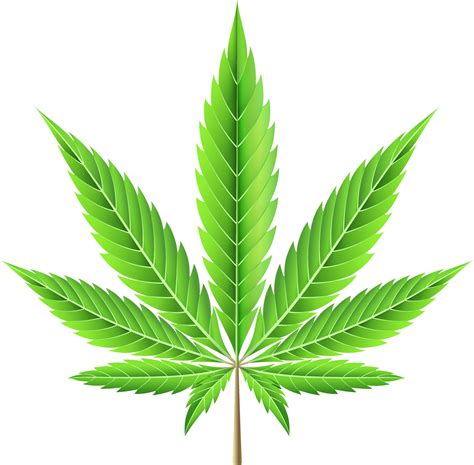 Ilustraci N De Hoja De Marihuana Vector En Vecteezy