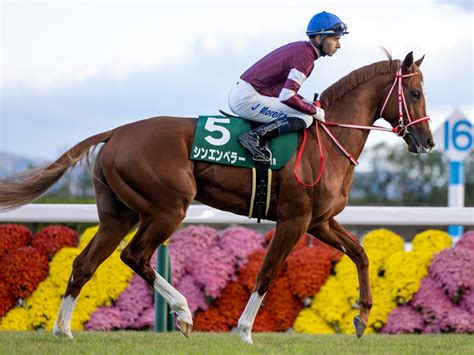 【ホープフルs】出走馬の「調教後の馬体重」｜競馬ニュース｜競馬予想のウマニティ