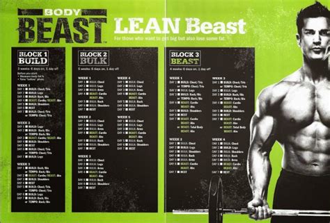 Body Beast Workout Nutrition Plan | EOUA Blog