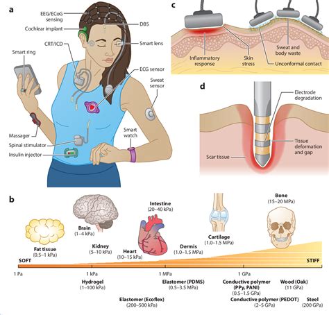 PDF Wearable And Implantable Soft Bioelectronics Device Designs And