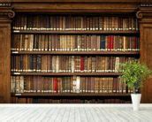 Library Books Wallpaper Mural | Wallsauce USA