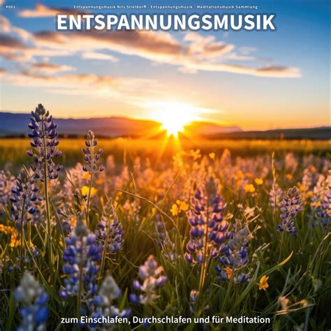 T Ne F R Spa Song By Entspannungsmusik Nils Stieldorff