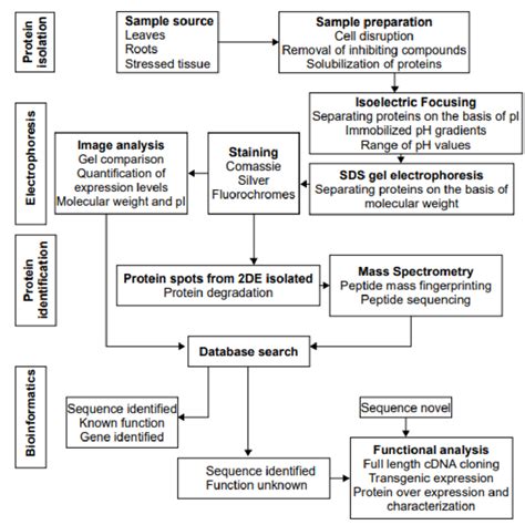 A Schematic Overview Of The Interconnections In Proteomics Reproduced