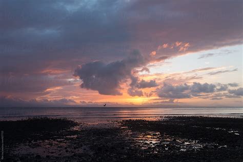 "Winter Sunset Vancouver Island" by Stocksy Contributor "Kim Jay Photography" - Stocksy