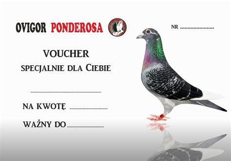 Voucher Podarunkowy Z Ovigor Online Sklep