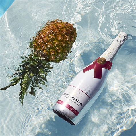 Mo T Chandon Official On Instagram Always Swim With A Buddy