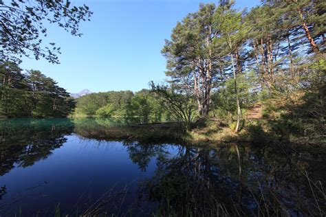 Kostenlose Foto Landschaft Baum Wasser Natur Wald Sumpf Wildnis