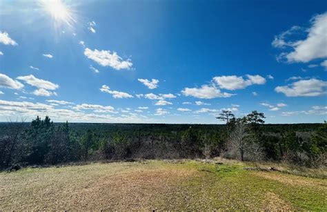 Best hikes and trails in Bastrop State Park | AllTrails