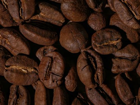 Close-Up of Roasted Coffee Beans Macro Shot · Free Stock Photo