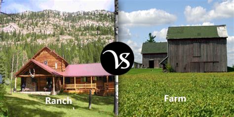 Difference Between Ranch And Farm Difference All