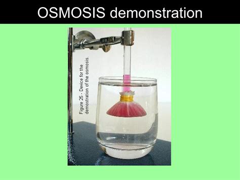 Diffusion And Osmosis Ppt