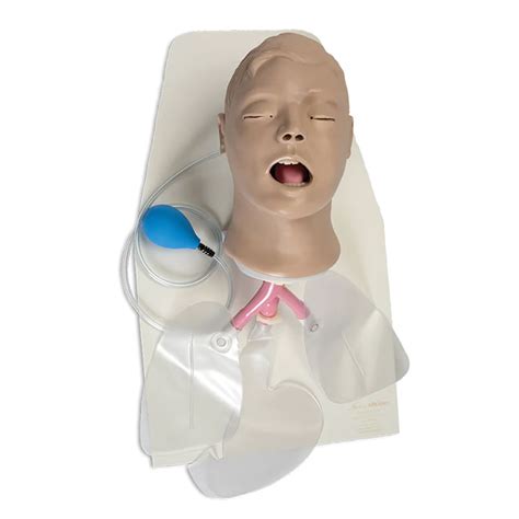 Life Form Airway Larry Adult Airway Management Trainer With Stand