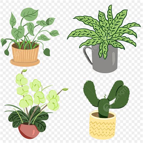 Maceta Png Planta Plantas En Maceta Png S Hoja Png Y Psd Para Porn