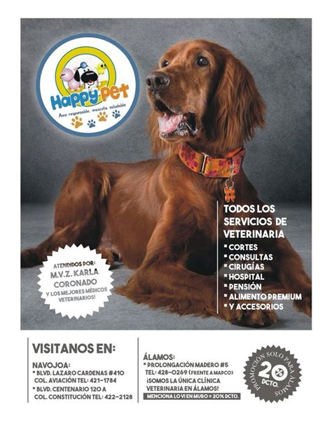 HappyPet Clínica Veterinaria Veterinaria Aviacion Navojoa