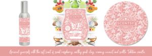 Pink Coconut Scentsy Bar February 2023