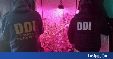 Ajuste De Cuentas O Pelea Entre Cultivadores Golpearon Y Le Robaron