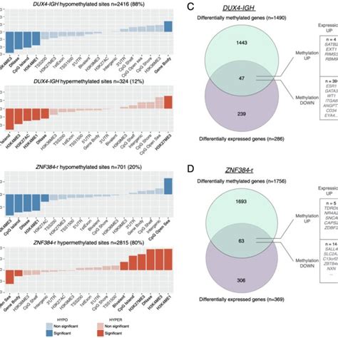 Functional Genomic Distribution Of Differentially Methylated Cpg Sites