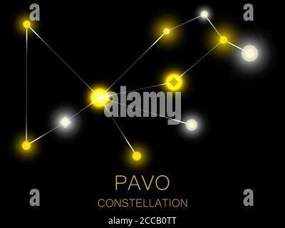 Pavo The Peacock Constellation Vector Illustration With The Names Of