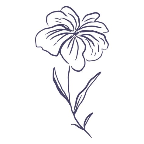 Design Png E Svg De Flor Desenhada à Mão Delicada Para Camisetas