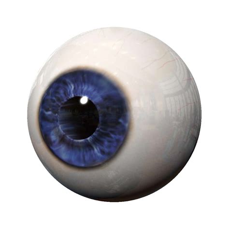 Realistic Human Eye Lite D Model Max Ma Obj Free D