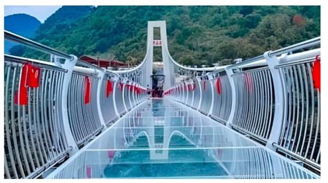 Journey to Rajgir Glass Bridge in 2024: location, time, entry fees - Real Estate Blogs in India ...