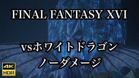 4K HDR FINAL FANTASY XVIvsホワイトドラゴン ノーダメージ YouTube