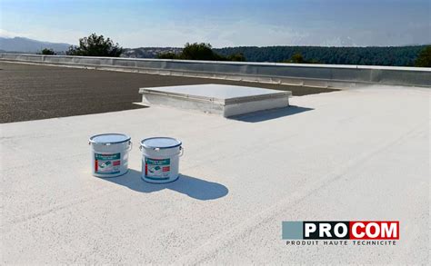 Peinture Toiture Tanche Cool Roof Peinture R Fl Chissante Blanche