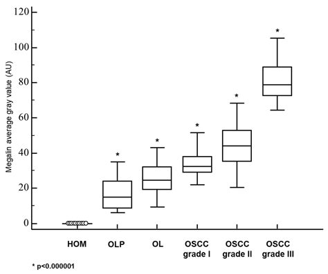 Cancers Free Full Text Metallothioneins And Megalin Expression Profiling In Premalignant And