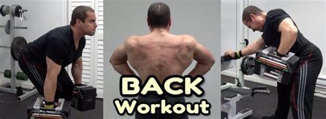 Back Workout With Dumbbell Atelier Yuwa Ciao Jp