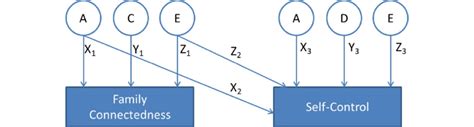 Graphical Representation Of The Longitudinal Bivariate Twin Models