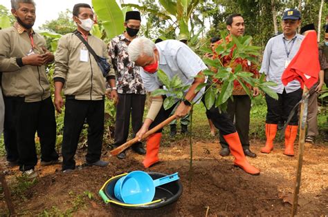 Ganjar Telah Tanam Juta Pohon Sejak Periode Pertama Untuk